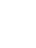 KNVB